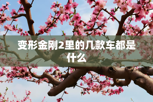 变形金刚2里的几款车都是什么