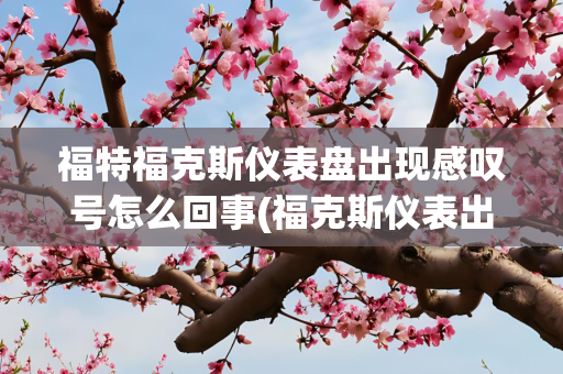 福特福克斯仪表盘出现感叹号怎么回事(福克斯仪表出现感叹号)
