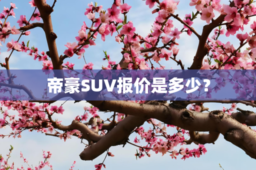 帝豪SUV报价是多少？