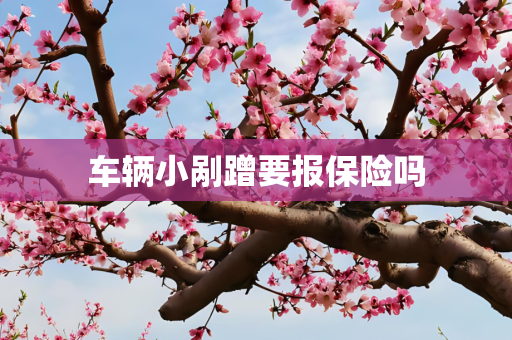 车辆小剐蹭要报保险吗