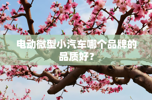 电动微型小汽车哪个品牌的品质好？