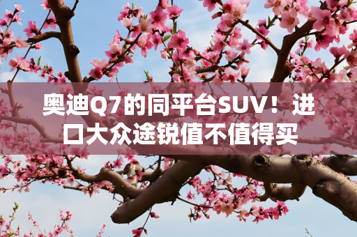 奥迪Q7的同平台SUV！进口大众途锐值不值得买