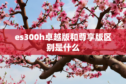es300h卓越版和尊享版区别是什么