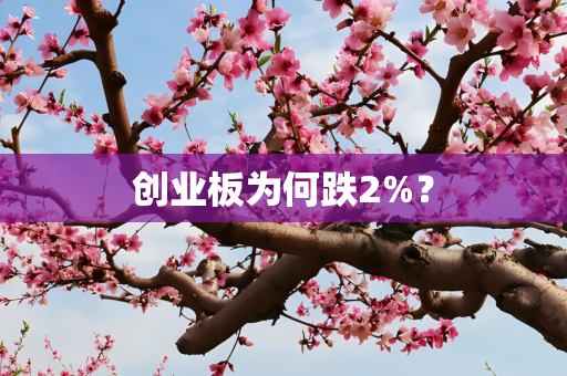 创业板为何跌2%？