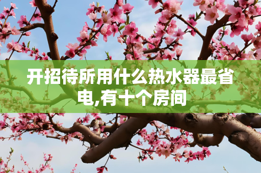 开招待所用什么热水器最省电,有十个房间