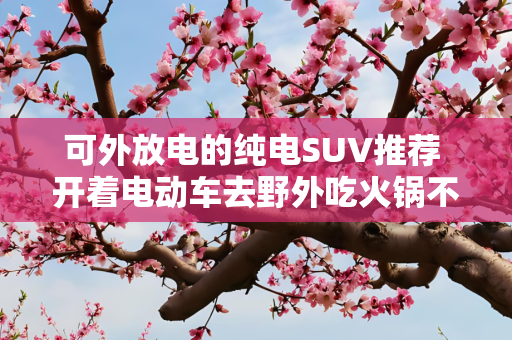可外放电的纯电SUV推荐 开着电动车去野外吃火锅不香么？