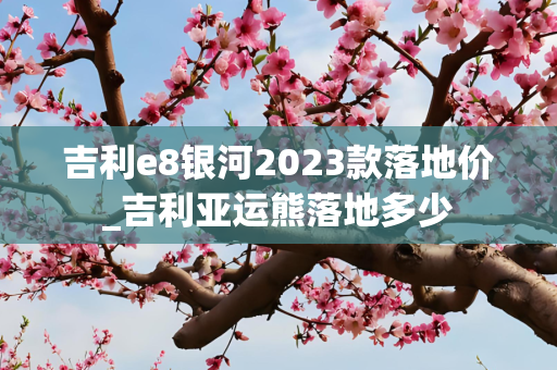 吉利e8银河2023款落地价_吉利亚运熊落地多少