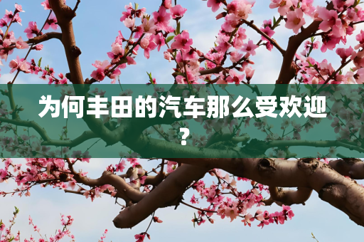 为何丰田的汽车那么受欢迎？