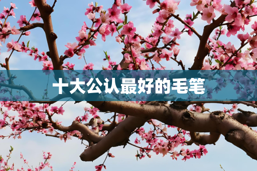 十大公认最好的毛笔