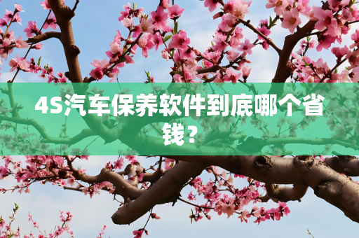 4S汽车保养软件到底哪个省钱？