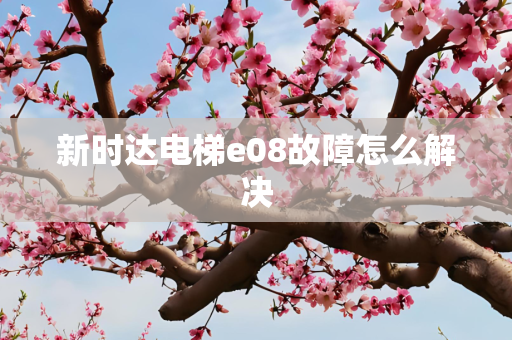 新时达电梯e08故障怎么解决