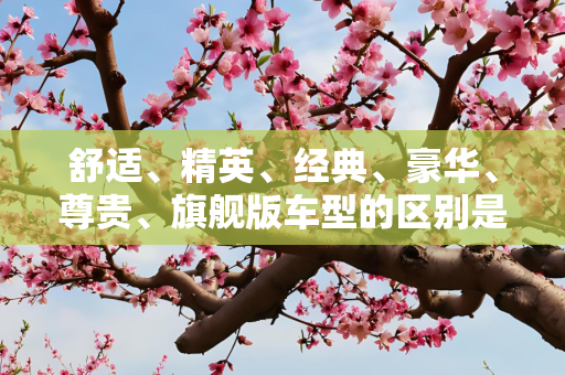 舒适、精英、经典、豪华、尊贵、旗舰版车型的区别是什么？
