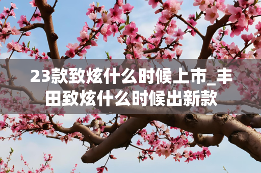 23款致炫什么时候上市_丰田致炫什么时候出新款
