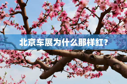 北京车展为什么那样红？