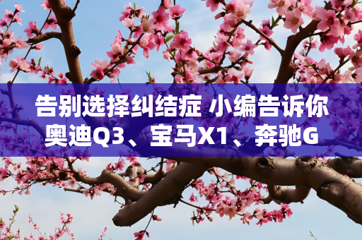 告别选择纠结症 小编告诉你奥迪Q3、宝马X1、奔驰GLB谁更好