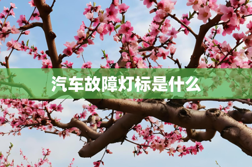 科技 第261页