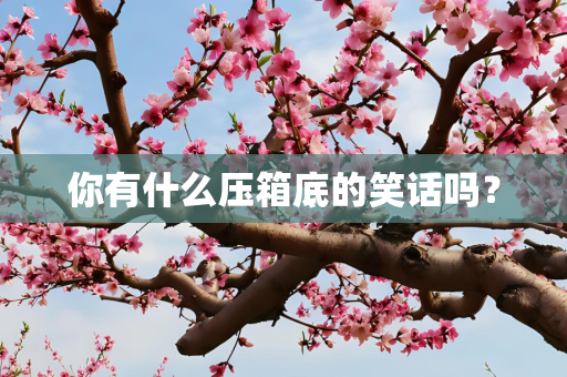 你有什么压箱底的笑话吗？
