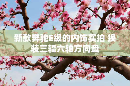 新款奔驰E级的内饰实拍 换装三辐六轴方向盘
