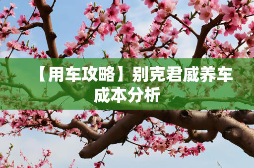 【用车攻略】别克君威养车成本分析