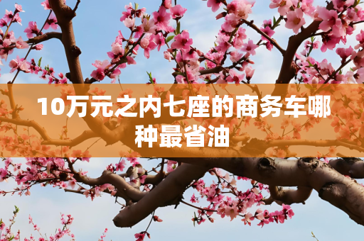 10万元之内七座的商务车哪种最省油
