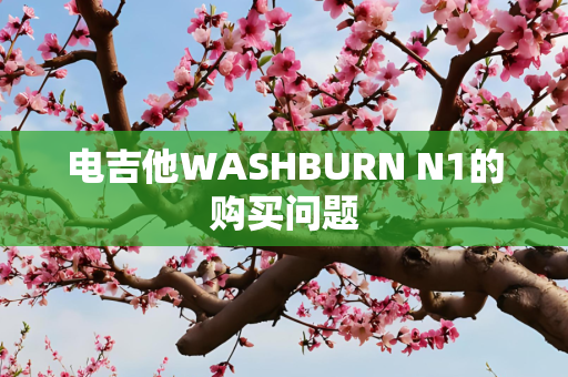 电吉他WASHBURN N1的购买问题