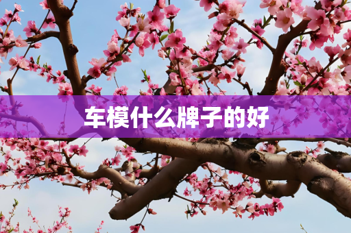 车模什么牌子的好