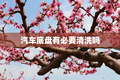 汽车底盘有必要清洗吗