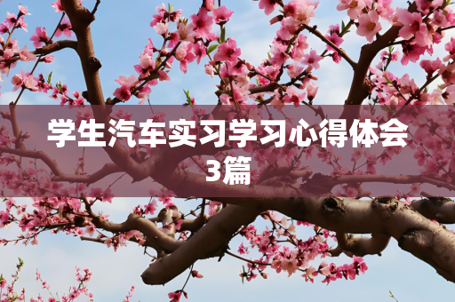 学生汽车实习学习心得体会3篇