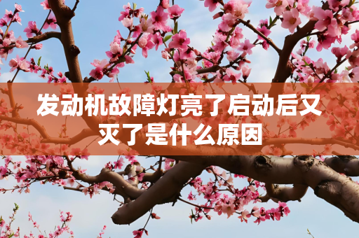 发动机故障灯亮了启动后又灭了是什么原因