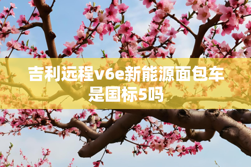 吉利远程v6e新能源面包车是国标5吗