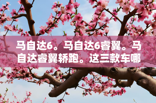 马自达6。马自达6睿翼。马自达睿翼轿跑。这三款车哪个好啊？