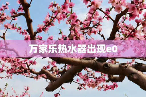 万家乐热水器出现e0
