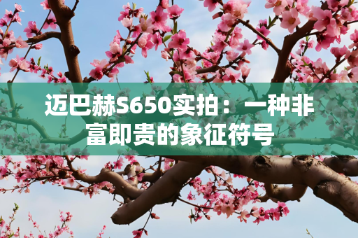 迈巴赫S650实拍：一种非富即贵的象征符号