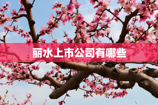 丽水上市公司有哪些
