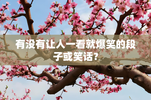 有没有让人一看就爆笑的段子或笑话？
