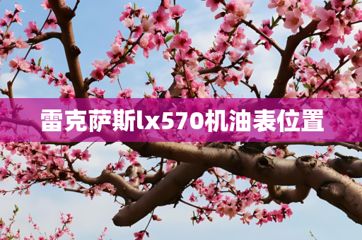 雷克萨斯lx570机油表位置