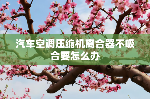 汽车空调压缩机离合器不吸合要怎么办