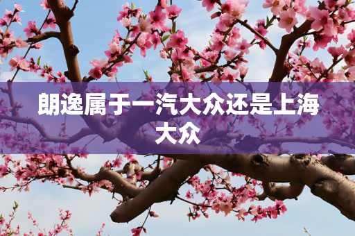 朗逸属于一汽大众还是上海大众