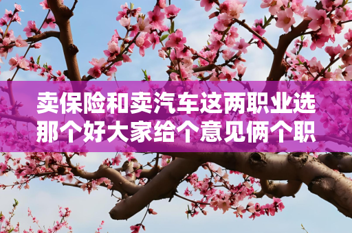 卖保险和卖汽车这两职业选那个好大家给个意见俩个职业都是小白选哪个更有发展前途更有优势