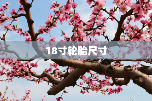 18寸轮胎尺寸