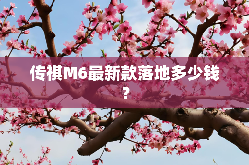 传祺M6最新款落地多少钱？