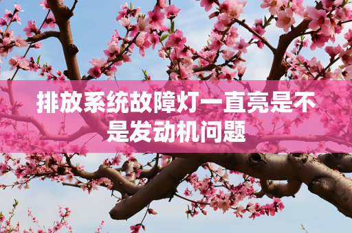 排放系统故障灯一直亮是不是发动机问题