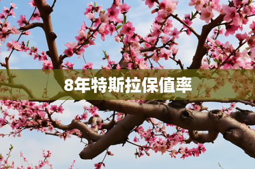8年特斯拉保值率