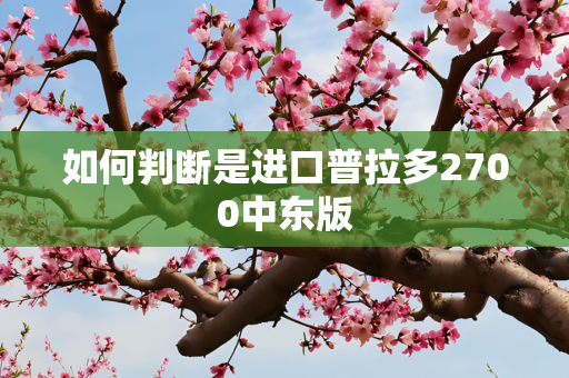 如何判断是进口普拉多2700中东版