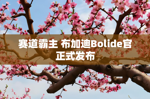 赛道霸主 布加迪Bolide官正式发布