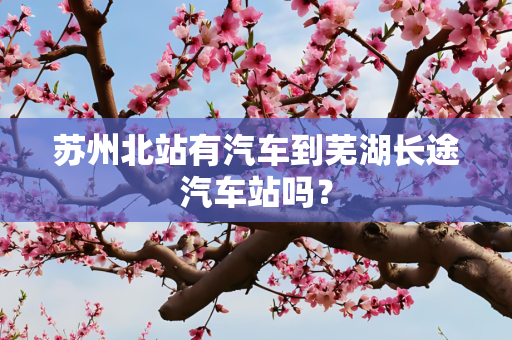 苏州北站有汽车到芜湖长途汽车站吗？