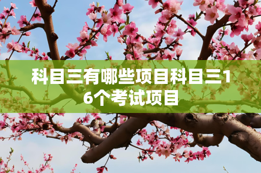 科技 第20页