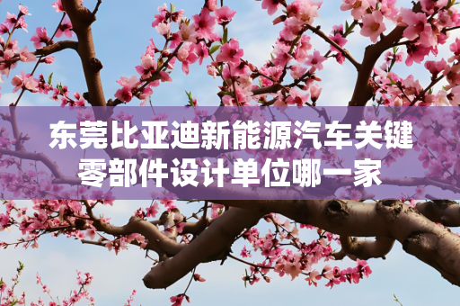 东莞比亚迪新能源汽车关键零部件设计单位哪一家