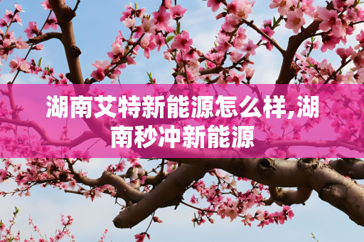 经济 第32页