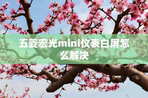 五菱宏光mini仪表白屏怎么解决
